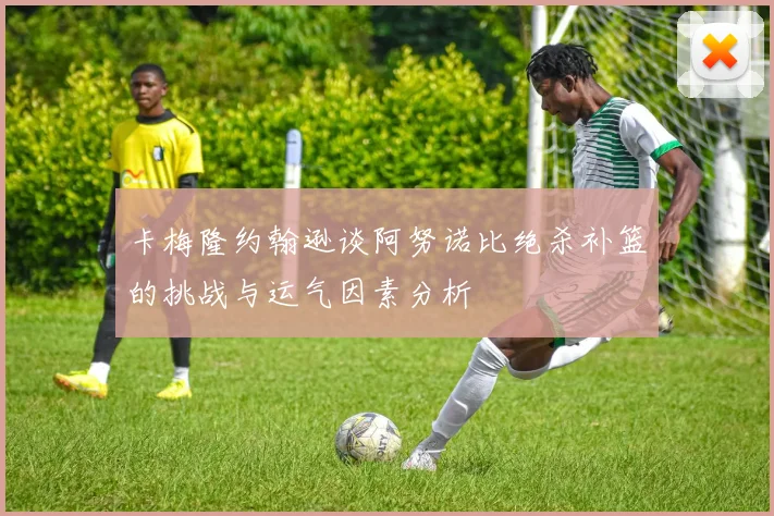 卡梅隆约翰逊谈阿努诺比绝杀补篮的挑战与运气因素分析
